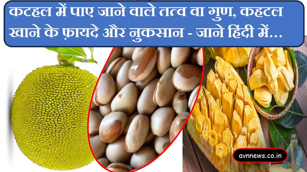 कटहल में पाए जाने वाले तत्व वा गुण, कहटल खाने के फ़ायदे और नुकसान - जाने हिंदी में - elements-and-properties-found-in-jackfruit-advantages-and-disadvantages-of-eating-jackfruit-know-in-hindi