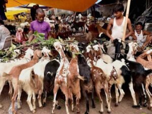 Eid ul Adha Facts in hindi 