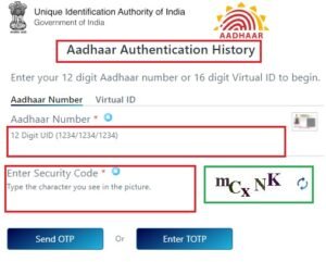 Aadhaar Authentication History