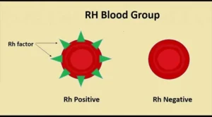 Type of Blood groups In hindi