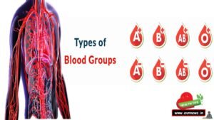 Type of Blood Groups In Hindi