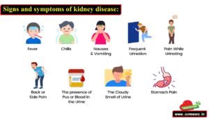 किडनी फेल होने से पहले आंखें देती हैं ये संकेत