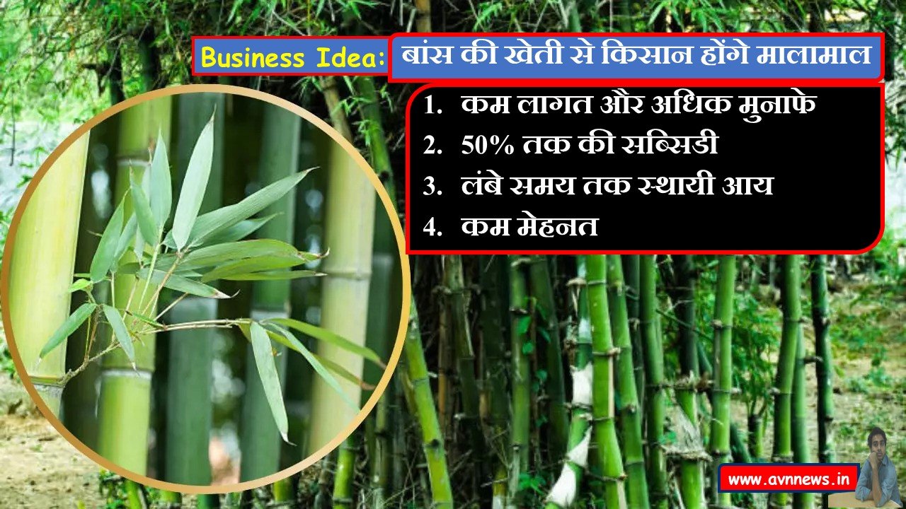 बांस की खेती