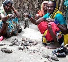 मुसहर समाज की पीड़ा