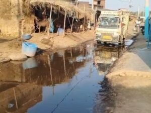 कोल्हुआ