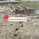 गिद्धौर में भीषण गर्मी का कहर – प्यास से तड़पते पशु-पक्षी, प्रशासन बना मूक दर्शक