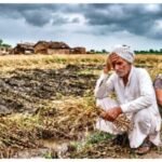 बेमौसम बारिश और ओलावृष्टि से तबाह हुई खेती, जमुई के किसान गहरे संकट में