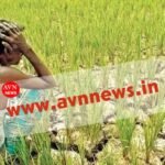 जमुई में किसान बेहाल: बढ़ती लागत, घटती आय और टूटते सपनों की कहानी