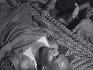 कोल्हुआ