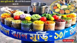 झाल मुड़ी क्या है?