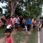 Jamui Road Accident: खैरा में दर्दनाक सड़क हादसा, बिजली के पोल से टकराई तेज रफ्तार बाइक, 17 वर्षीय किशोर की मौत, दो गंभीर घायल