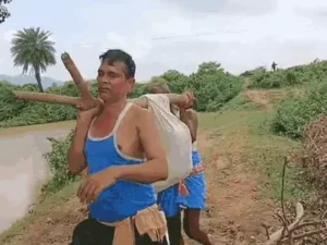 जमुई 