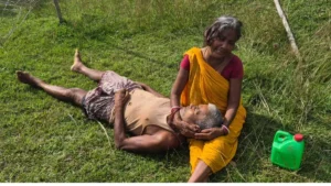 बिजली